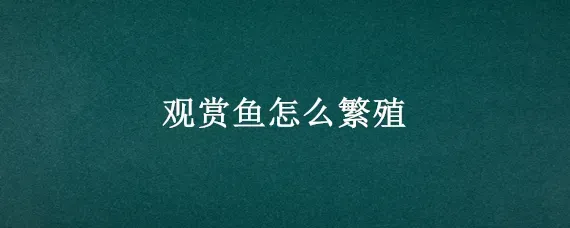 观赏鱼怎么繁殖