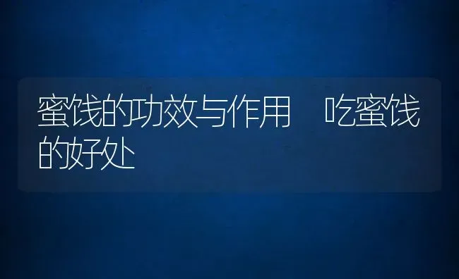 蜜饯的功效与作用 吃蜜饯的好处 | 养殖资料投稿