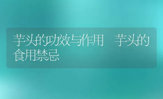 芋头的功效与作用 芋头的食用禁忌 | 养殖资料投稿