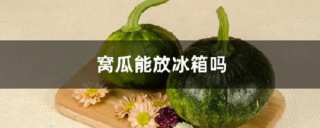 窝瓜能放冰箱吗