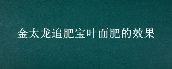 金太龙追肥宝叶面肥的效果