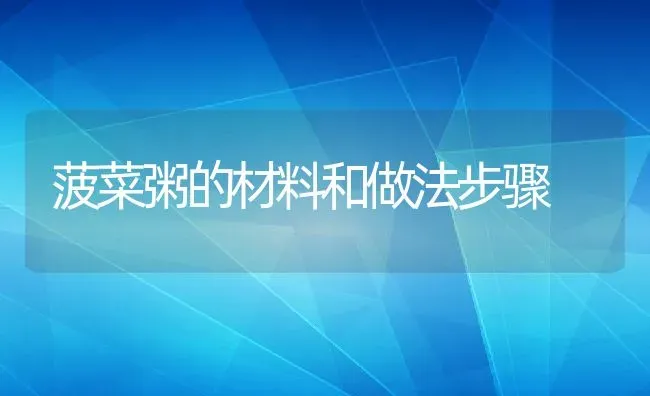 菠菜粥的材料和做法步骤 | 养殖资料投稿