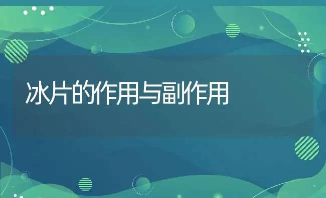 冰片的作用与副作用 | 养殖资料投稿