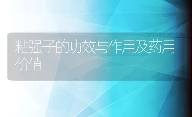 粘强子的功效与作用及药用价值 | 养殖资料投稿