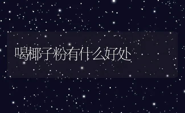 喝椰子粉有什么好处 | 养殖资料投稿