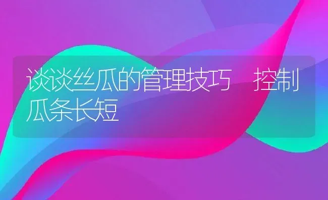 谈谈丝瓜的管理技巧 控制瓜条长短 | 养殖资料投稿