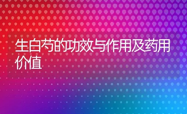 生白芍的功效与作用及药用价值 | 养殖资料投稿