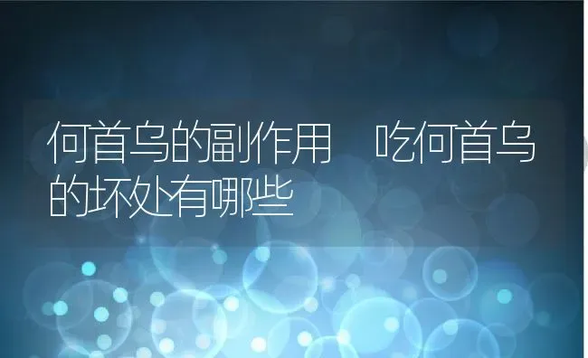 何首乌的副作用 吃何首乌的坏处有哪些 | 养殖资料投稿