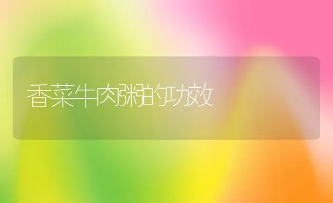 香菜牛肉粥的功效 | 养殖资料投稿