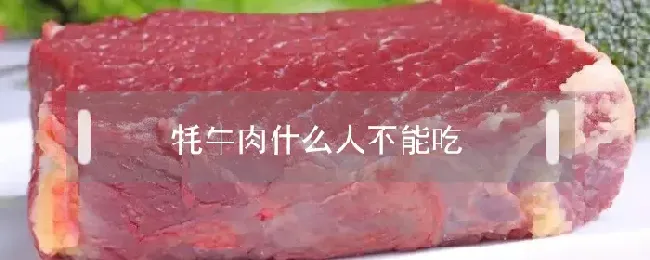 牦牛肉什么人不能吃