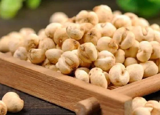中药材|四川种植什么药材最好 四川产什么名贵的中药材