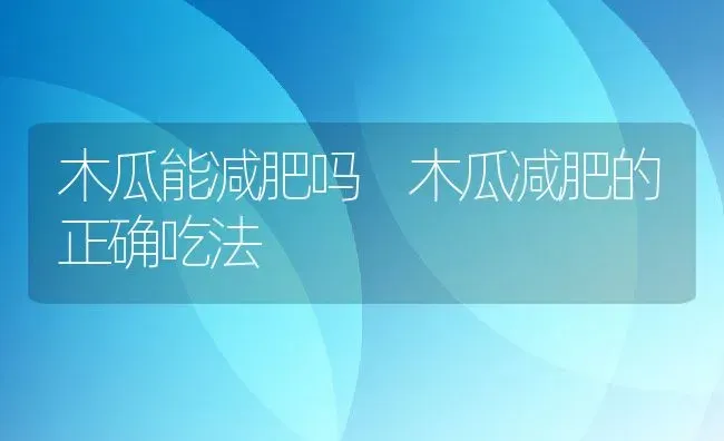 木瓜能减肥吗 木瓜减肥的正确吃法 | 养殖资料投稿