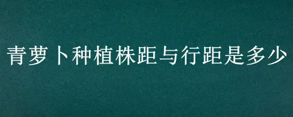 青萝卜种植株距与行距是多少