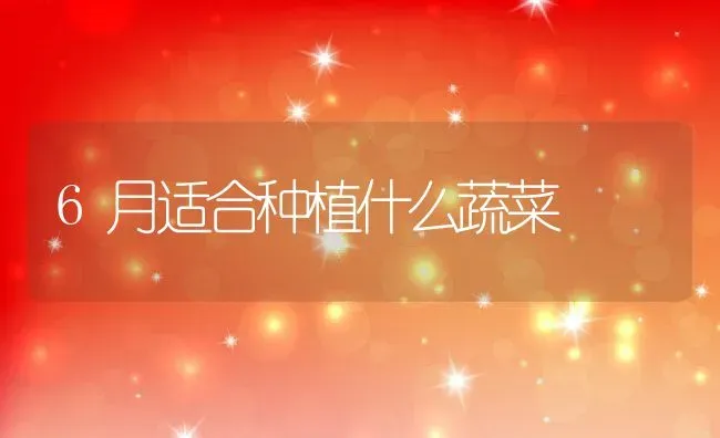 6月适合种植什么蔬菜 | 养殖资料投稿