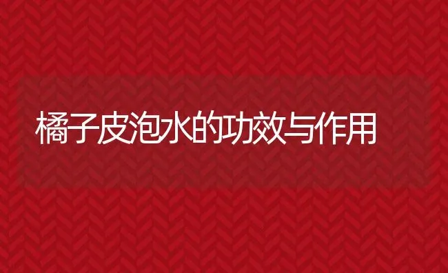 橘子皮泡水的功效与作用 | 养殖资料投稿