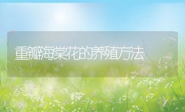 重瓣海棠花的养殖方法 | 养殖资料投稿
