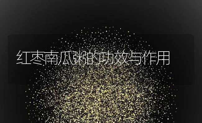 红枣南瓜粥的功效与作用 | 养殖资讯