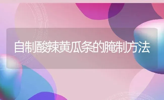 自制酸辣黄瓜条的腌制方法 | 养殖资料投稿