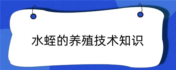 水蛭的养殖技术知识