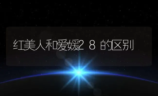 红美人和爱媛28的区别 | 养殖资讯