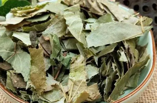 羊霍草的功效与作用