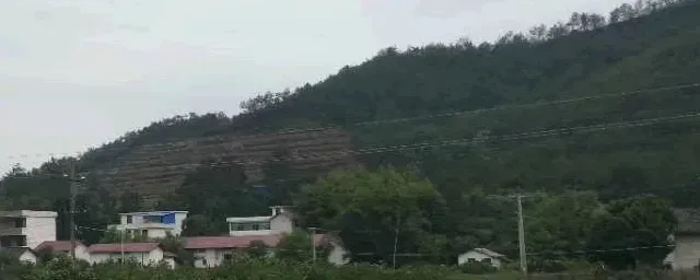 蛇蛋怎么孵化成活率高