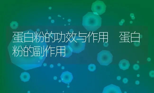 蛋白粉的功效与作用 蛋白粉的副作用 | 养殖资料投稿