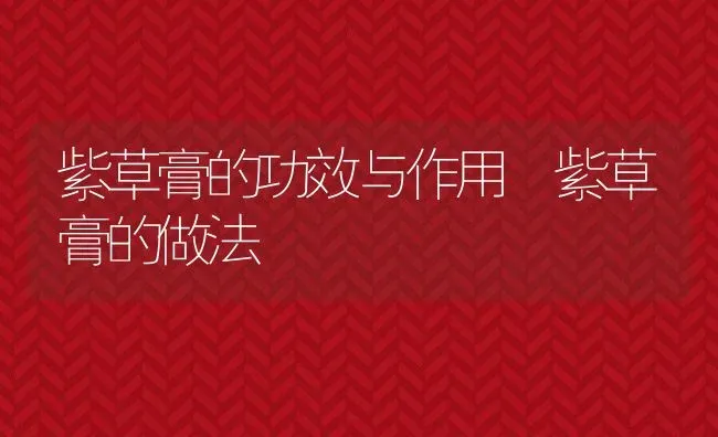 紫草膏的功效与作用 紫草膏的做法 | 养殖资料投稿