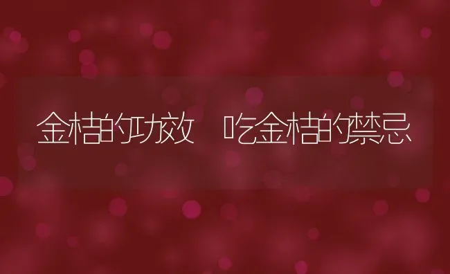 金桔的功效 吃金桔的禁忌 | 养殖资料投稿