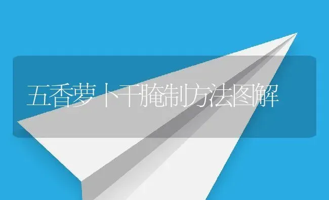 五香萝卜干腌制方法图解 | 养殖资料投稿