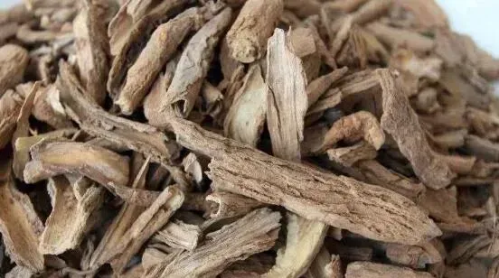 地骨皮的功效与作用及服用方法