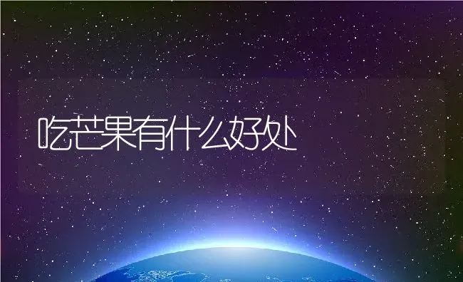 吃芒果有什么好处 | 养殖资料投稿