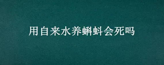 用自来水养蝌蚪会死吗