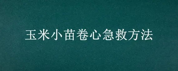 玉米小苗卷心急救方法