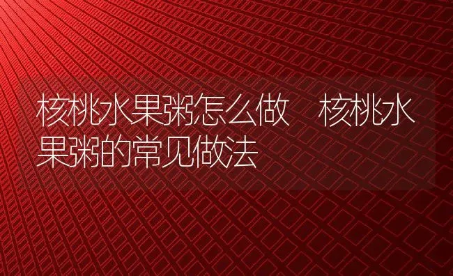 核桃水果粥怎么做 核桃水果粥的常见做法 | 养殖资讯