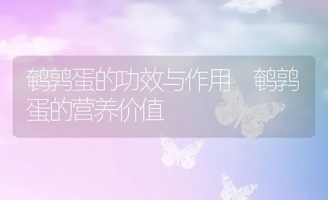 鹌鹑蛋的功效与作用 鹌鹑蛋的营养价值 | 养殖资料投稿