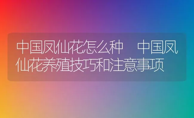 中国凤仙花怎么种 中国凤仙花养殖技巧和注意事项 | 养殖资料投稿