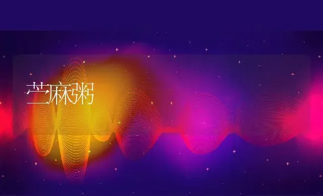 苎麻粥 | 养殖资讯