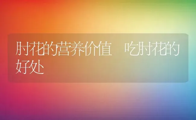 肘花的营养价值 吃肘花的好处 | 养殖资料投稿