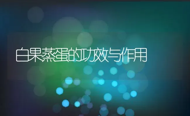 白果蒸蛋的功效与作用 | 养殖资料投稿