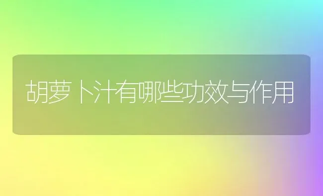 胡萝卜汁有哪些功效与作用 | 养殖资料投稿