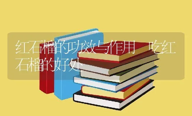 红石榴的功效与作用 吃红石榴的好处 | 养殖资料投稿