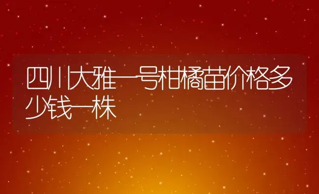 四川大雅一号柑橘苗价格多少钱一株 | 养殖资讯