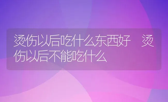 烫伤以后吃什么东西好 烫伤以后不能吃什么 | 养殖资料投稿