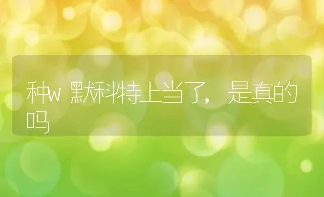 种w默科特上当了,是真的吗 | 养殖资讯