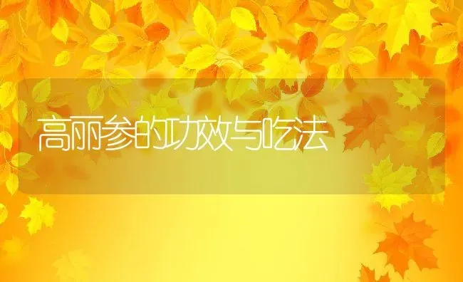 高丽参的功效与吃法 | 养殖资料投稿