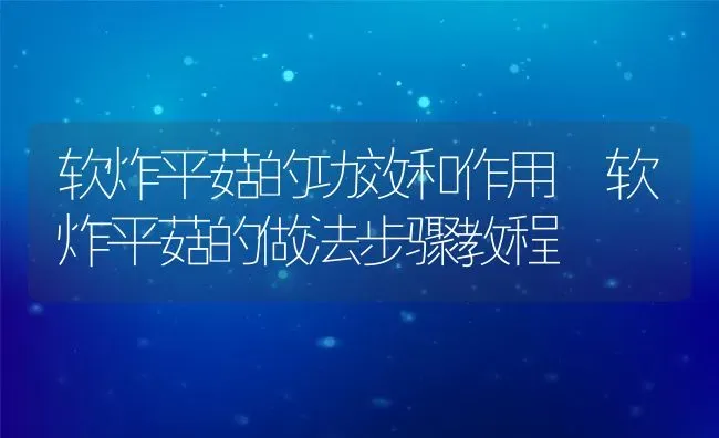 软炸平菇的功效和作用 软炸平菇的做法步骤教程 | 养殖资料投稿