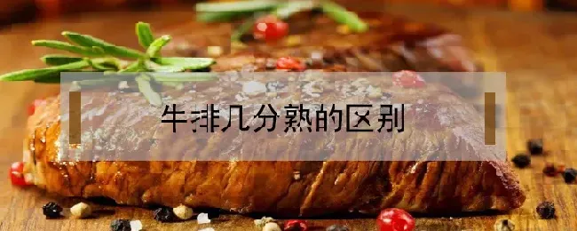 牛排几分熟的区别