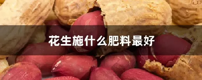 花生施什么肥料最好