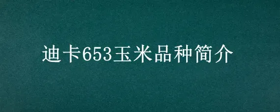 迪卡653玉米品种简介